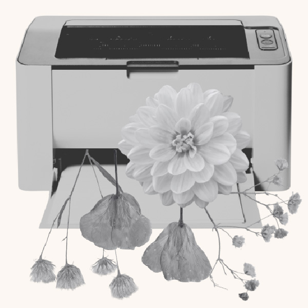 Printing &<br> Copying Services