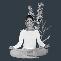 andco-coworking-new-jersey-amenities-navy_community-events-yoga